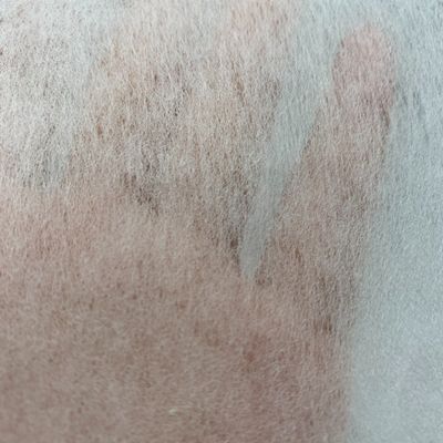 Gaoxin Polyester/Viskose Chemical Bond Nichtgewebe für die Verkleidung von Bekleidung