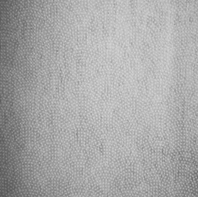 Nichtgewebte Fusible Interlining Gewicht 17-100gm Polyester/Nylon für Satingewebe